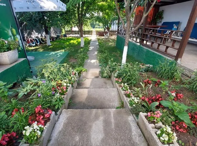 3m 게스트하우스 4*